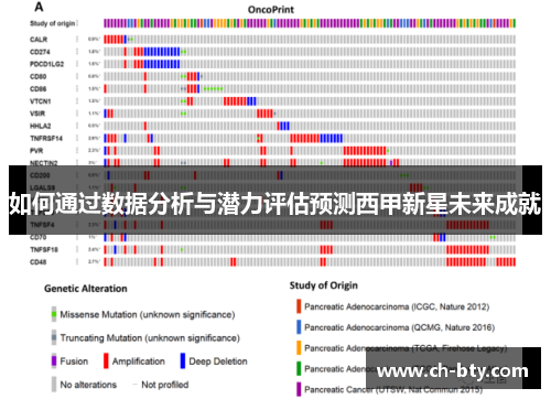 如何通过数据分析与潜力评估预测西甲新星未来成就