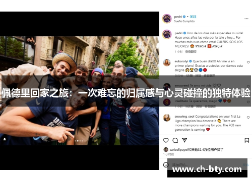 佩德里回家之旅：一次难忘的归属感与心灵碰撞的独特体验