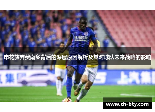 申花放弃费南多背后的深层原因解析及其对球队未来战略的影响