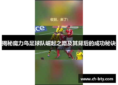 揭秘魔力鸟足球队崛起之路及其背后的成功秘诀
